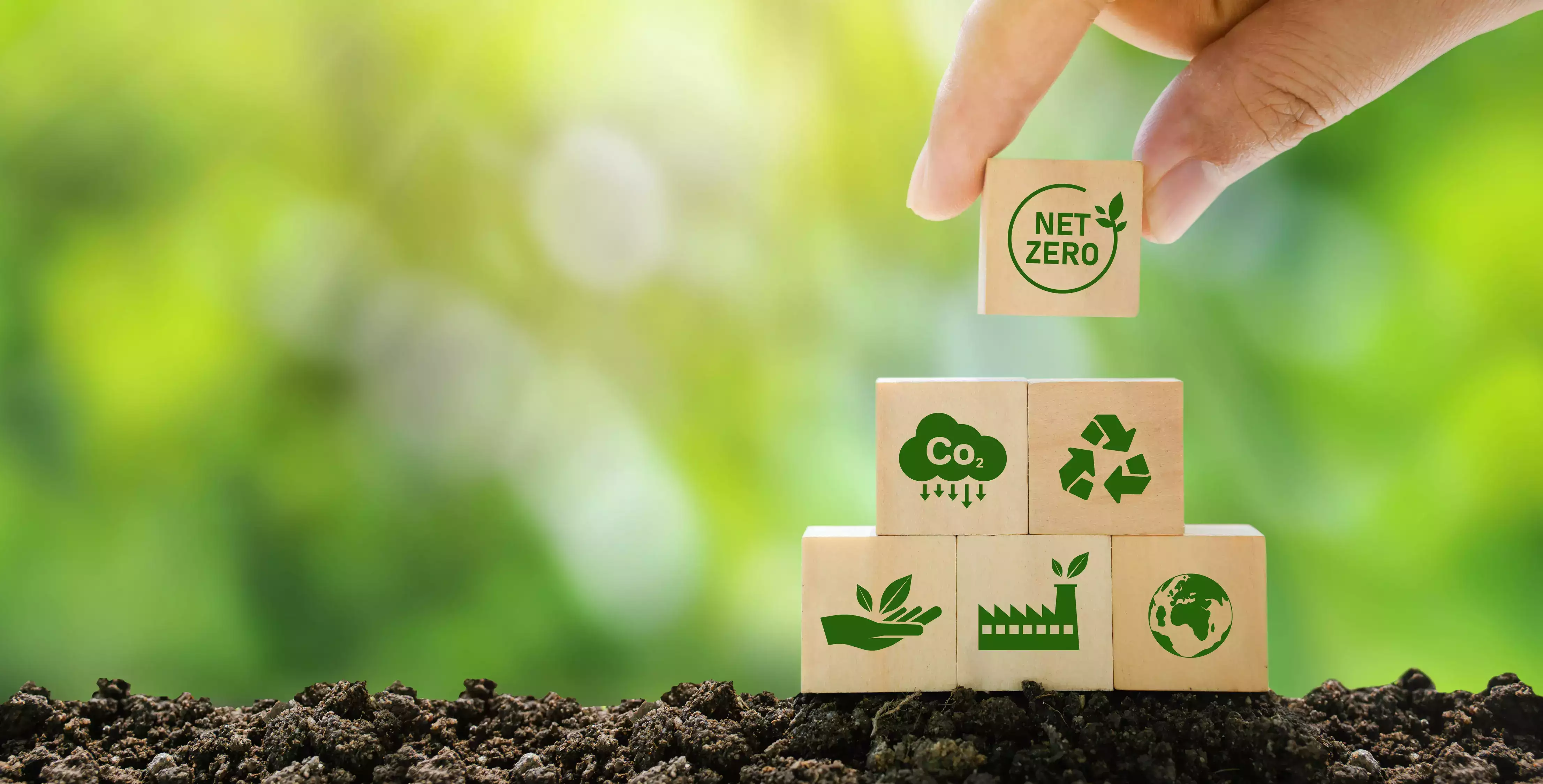Eco-Friendly practices